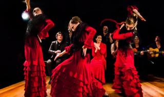 意大利签证拒签 意大利签证拒签